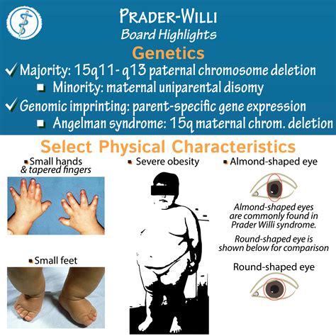 prada willi syndrom ehe belastung|prader willi syndrome wikipedia.